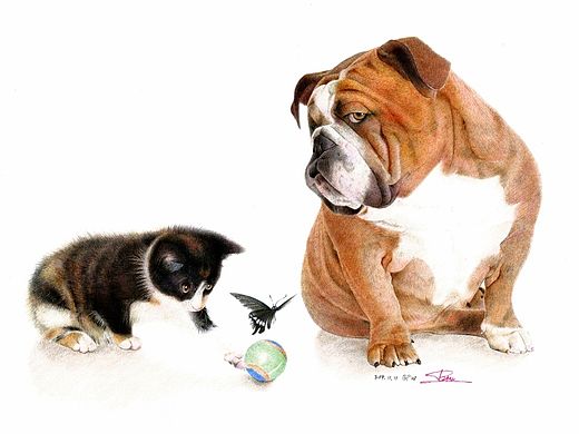 毕鹏伟--《沙皮犬与猫》