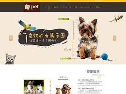 大老虎介绍的宠物简约网页