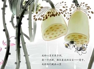 儿童 绘本《荷花》  国画  水墨  笔刷