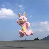 草莓火锅的头像