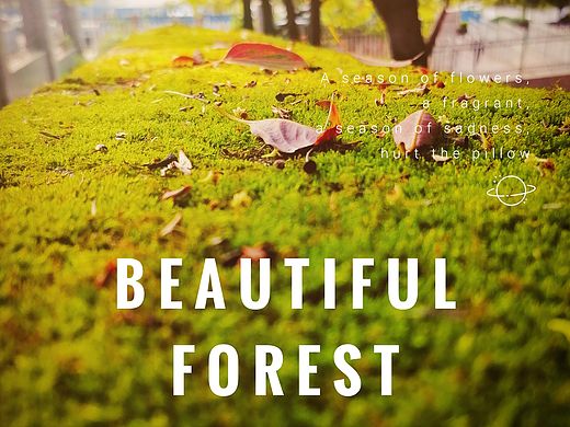 夏天西瓜镇（个人主页-ZNDM4OTYzMzI=） - 风光摄影 - 站酷设计师灰古兮右原创素材 - 站酷ZCOOL