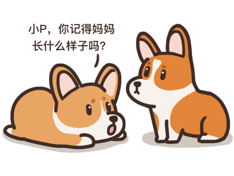 狗子在家里大家的原因可能是这个