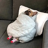 下一期的头像