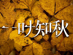 11月份字体设计小集