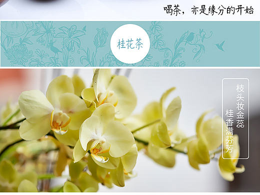 天猫淘宝茶叶铁观音 花茶详情页