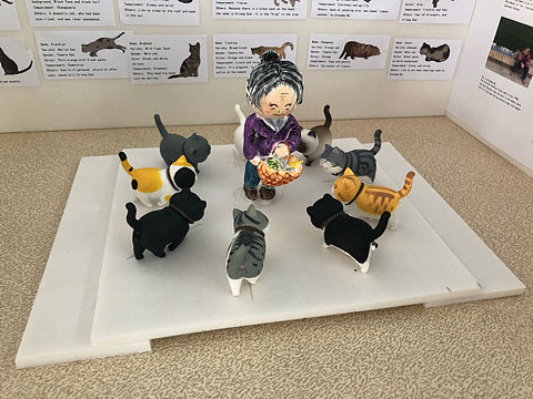 喂猫奶奶的Mapping