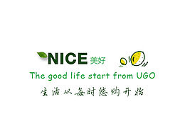 网站