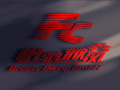 专营店logo设计（个人主页-ZMTQ4NjM0NDQ=） - Logo - 站酷设计师宋生生原创素材 - 站酷ZCOOL