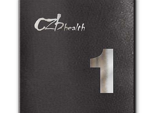 指示系统部分设计稿 效果图（个人主页-ZMTQxODY5MDA=） - 品牌 - 站酷设计师mzjsy原创素材 - 站酷ZCOOL