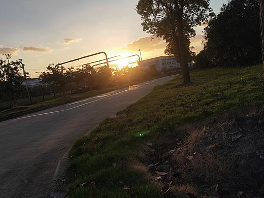 最美丽的风景莫过于夕阳