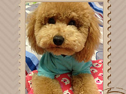 宝贝姑娘手机壁纸