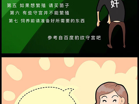 守宫新手指南