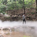 李世强的头像