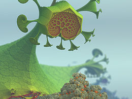 復(fù)雜幾何分形世界