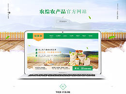 UI设计