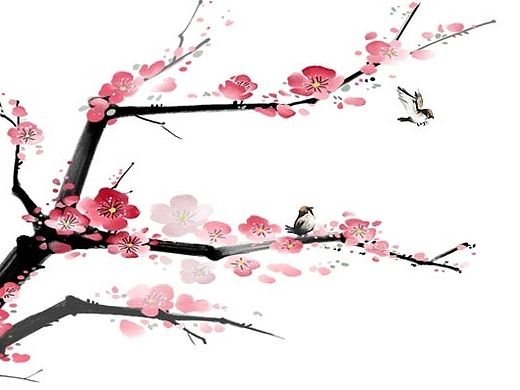 中国风梅花