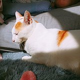 GTSOEST的头像