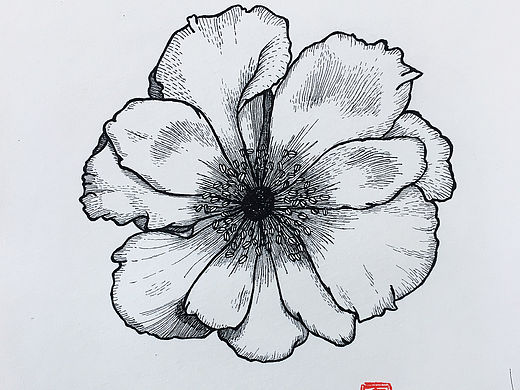 花（个人主页-ZMzk2MzQyODg=） - 像素画 - 站酷设计师湖说原创素材 - 站酷ZCOOL