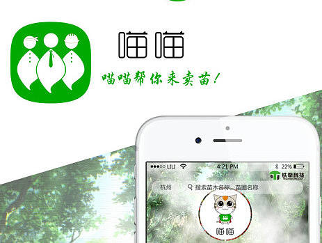 APP-喵喵