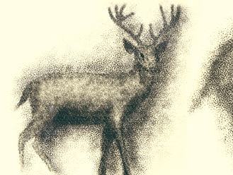 保护动物系列创意海报