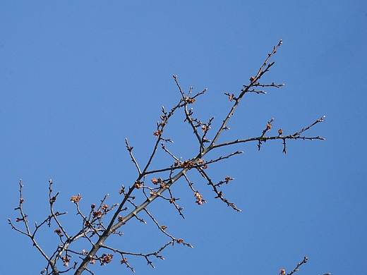 攝影雜記（個人主頁-ZMjY4NDQzNDQ=） - 風光攝影 - 站酷設計師昌昌昌老師原創(chuàng)素材 - 站酷ZCOOL