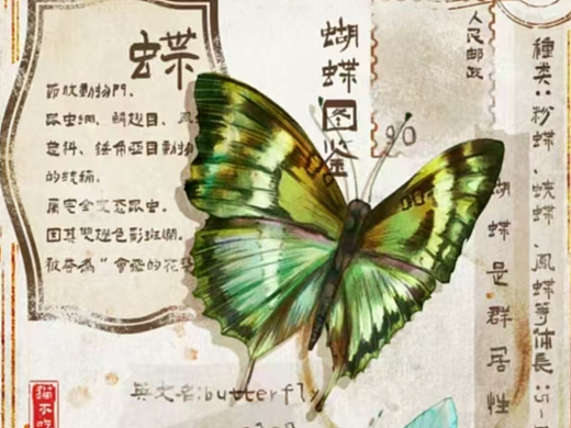 《蝴蝶图鉴》——水彩版本