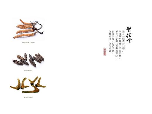 画册