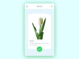 卡片式设计