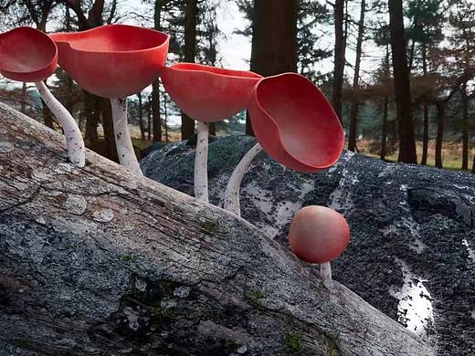 substance材质练习（个人主页-ZMzUwMTIyNDQ=） - 场景 - 站酷设计师Cg_Ryan原创素材 - 站酷ZCOOL