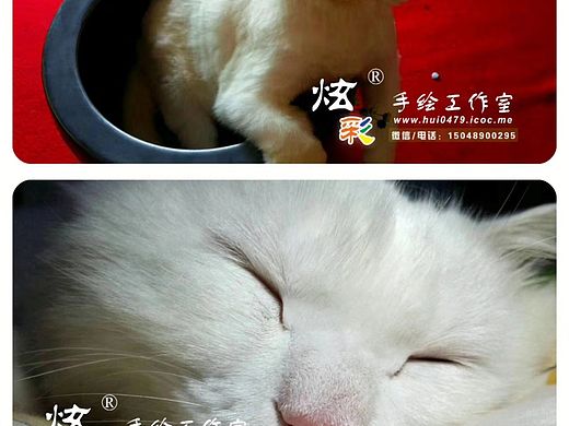 原创:吾喵系列画