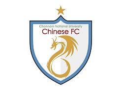 全南大足球队队徽