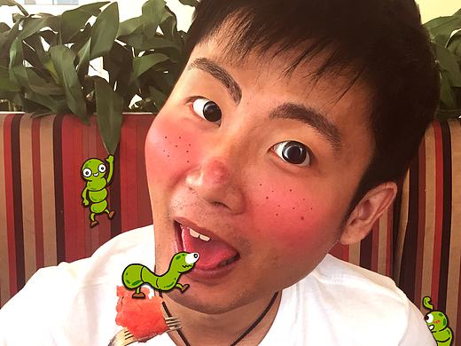 P个大头羽