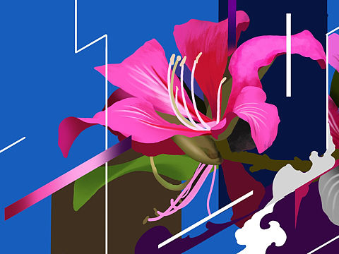 紫金花（个人主页-ZMzMzNDE3NjA=） - 商业插画 - 站酷设计师KATS2原创素材 - 站酷ZCOOL