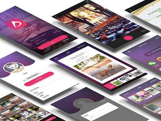 宠物智能产品app