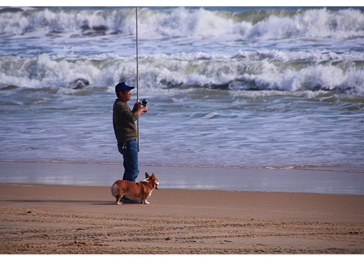 与海搏斗的一人一狗（个人主页-ZNjM4Mzc0NDg=） - 人文/纪实摄影 - 站酷设计师舟余原创素材 - 站酷ZCOOL