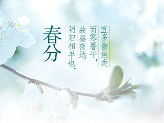 天猫页面顶部素材等一下杂货