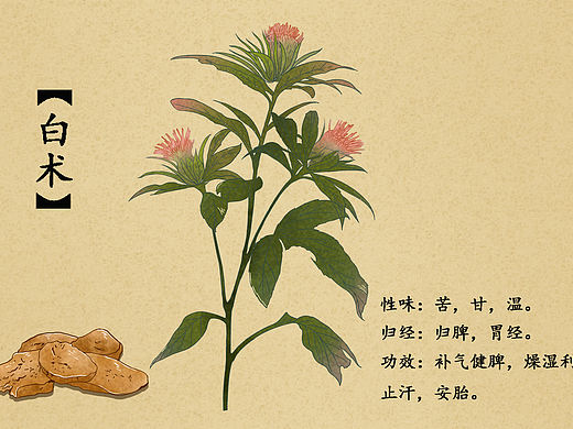 中草药作品
