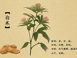 传统文化插画