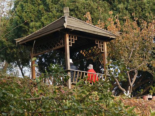 保持对生活的热爱