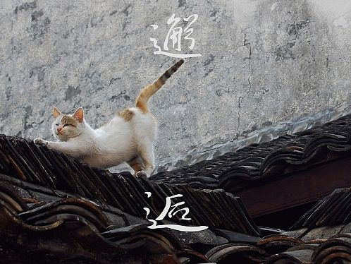 摄影与字体设计4（个人主页-ZODA0NDAzMg==） - 字体/字形 - 站酷设计师彦子车原创素材 - 站酷ZCOOL