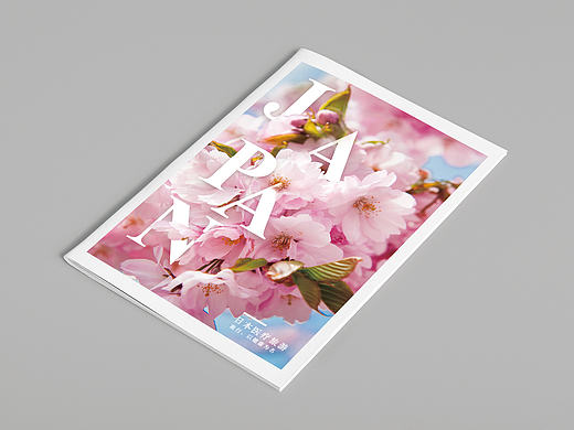 日本醫(yī)療旅行宣傳冊(cè)（個(gè)人主頁-ZMTg2ODA2NjQ=） - 書籍/畫冊(cè) - 站酷設(shè)計(jì)師王小兀原創(chuàng)素材 - 站酷ZCOOL