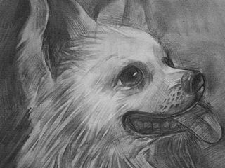 素描原创（个人主页-ZNDI3MzUyOA==） - 绘画 - 站酷设计师xonjny原创素材 - 站酷ZCOOL