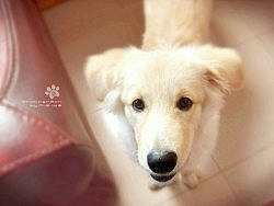 小寶君長(zhǎng)大了~