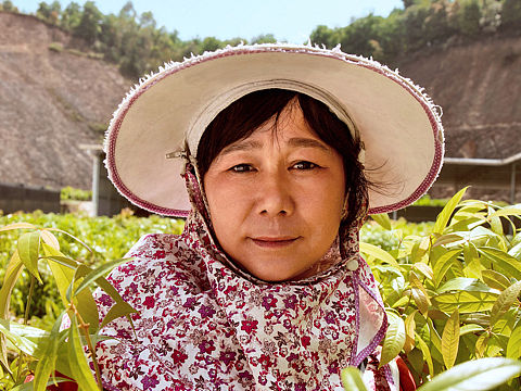 母親（個人主頁-ZMjcyOTU3NTI=） - 人像攝影 - 站酷設(shè)計師漢堡良原創(chuàng)素材 - 站酷ZCOOL