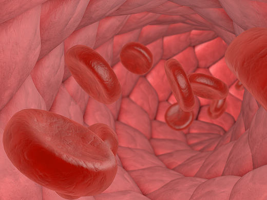 练习：红细胞/血液流动动画