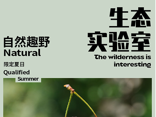 平面创作营B计划 Day-7