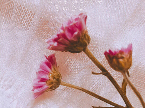 镜像•1f4f8（个人主页-ZMjkzMjU2MjA=） - 人像摄影 - 站酷设计师Wen录原创素材 - 站酷ZCOOL