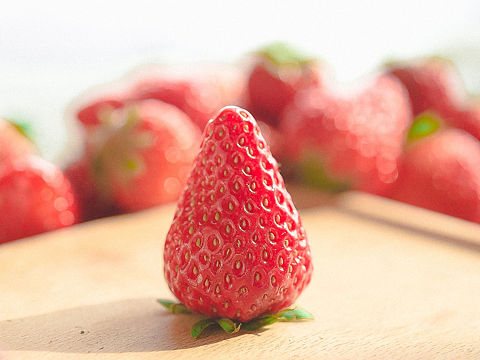草莓🍓（个人主页-ZNDI5OTE3NDQ=） - 产品摄影 - 站酷设计师戈薇C原创素材 - 站酷ZCOOL