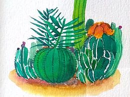 一组小仙人掌的绘画习作