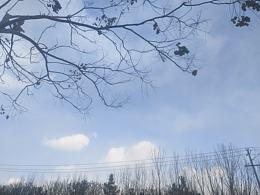 隨手一拍的風(fēng)景